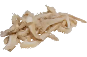 Oesterzwam 8mm bulk